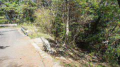 dsc00153_thumb.jpg