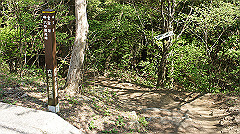 dsc00154_thumb.jpg