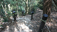 dsc00156_thumb.jpg