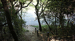 dsc00157_thumb.jpg