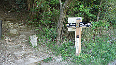 dsc00159_thumb.jpg