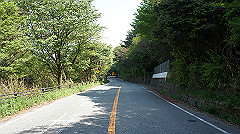 dsc00161_thumb.jpg