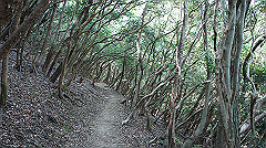 dsc00164_thumb.jpg