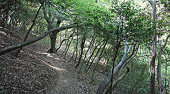 dsc00165_thumb.jpg