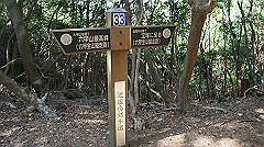 dsc00166_thumb.jpg