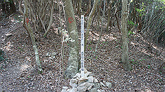 dsc00167_thumb.jpg