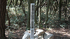 dsc00169_thumb.jpg