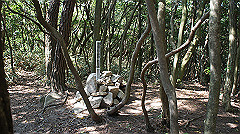 dsc00170_thumb.jpg