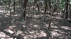 dsc00172_thumb.jpg