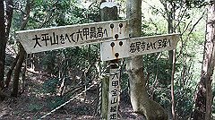 dsc00174_thumb.jpg