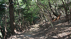 dsc00175_thumb.jpg