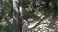 dsc00176_thumb.jpg