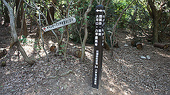 dsc00177_thumb.jpg