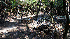dsc00178_thumb.jpg