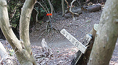dsc00179_thumb.jpg