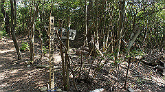dsc00180_thumb.jpg