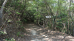 dsc00181_thumb.jpg