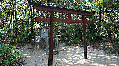 dsc00182_thumb.jpg