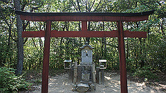 dsc00183_thumb.jpg