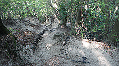 dsc00184_thumb.jpg