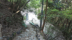 dsc00185_thumb.jpg