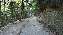 dsc00190_thumb.jpg