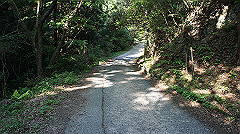 dsc00192_thumb.jpg