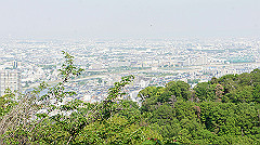 dsc00199_thumb.jpg