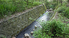 dsc00204_thumb.jpg