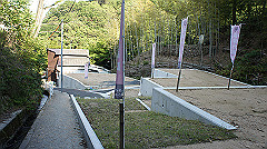 dsc00206_thumb.jpg