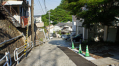 dsc00207_thumb.jpg
