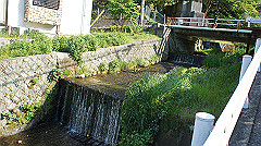 dsc00211_thumb.jpg