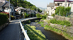 dsc00212_thumb.jpg