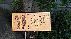 dsc00216_thumb.jpg