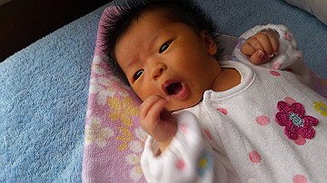 20140516hono_023_thumb.jpg