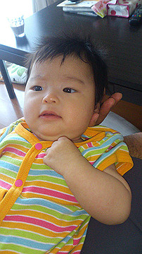 20140516hono_053_thumb.jpg
