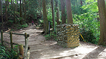 dsc00021_thumb.jpg