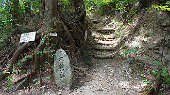 dsc00022_thumb.jpg