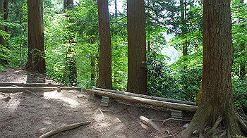 dsc00023_thumb.jpg