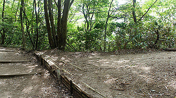 dsc00032_thumb.jpg