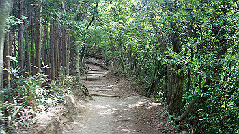 dsc00033_thumb.jpg
