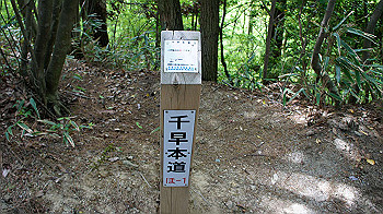 dsc00034_thumb.jpg