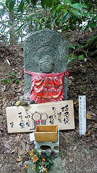 dsc00035_thumb.jpg