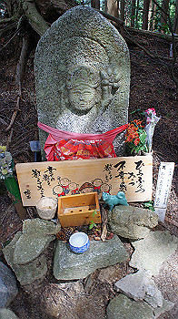 dsc00043_thumb.jpg