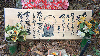 dsc00050_thumb.jpg