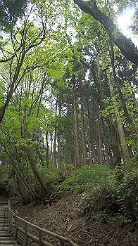 dsc00053_thumb.jpg