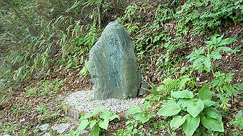 dsc00059_thumb.jpg