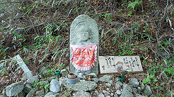 dsc00060_thumb.jpg