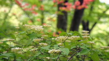 dsc00067_thumb.jpg