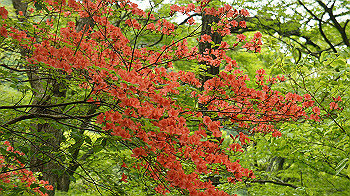 dsc00070_thumb.jpg